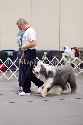IMG_9276.jpg