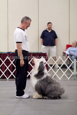 IMG_9286.jpg