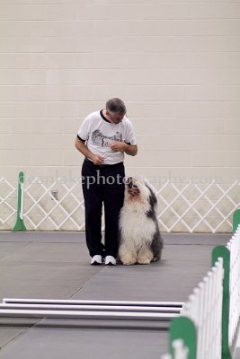 IMG_9300.jpg