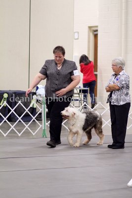 IMG_9318.jpg