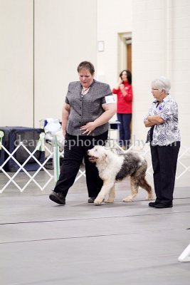 IMG_9321.jpg