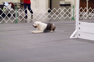 IMG_9324.jpg
