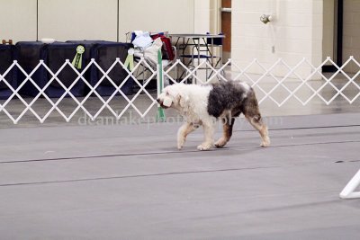IMG_9329.jpg