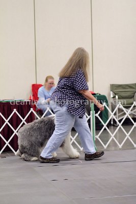 IMG_9340.jpg