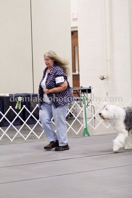 IMG_9346.jpg