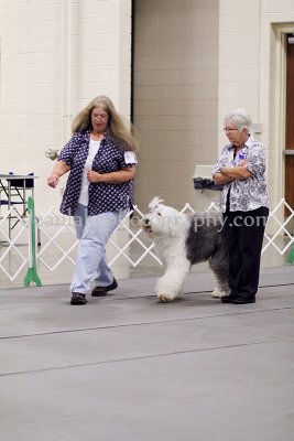 IMG_9349.jpg