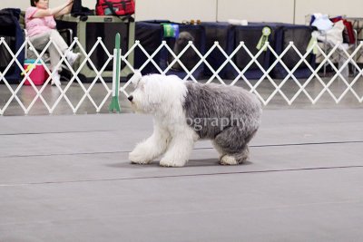 IMG_9355.jpg