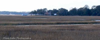 IMG_7731.jpg