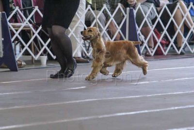IMG_0586.jpg