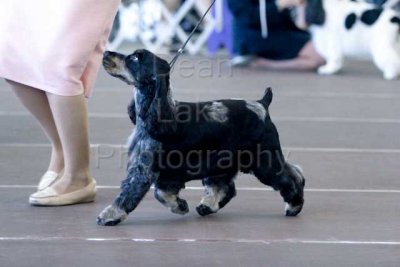 IMG_1375.jpg