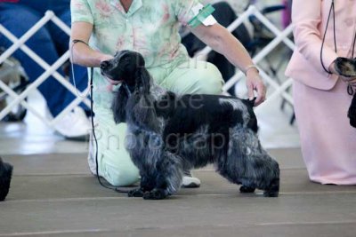 IMG_1442.jpg