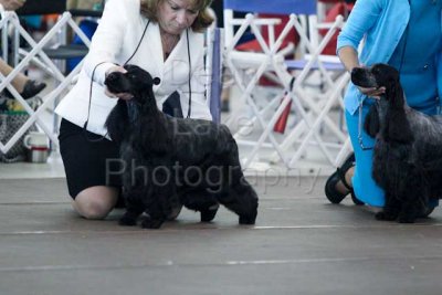 IMG_1458.jpg