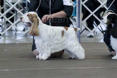IMG_1613.jpg