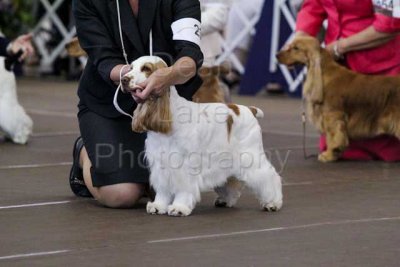 IMG_1720.jpg