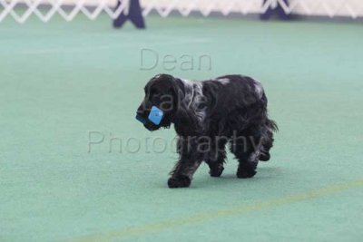 IMG_8878.jpg