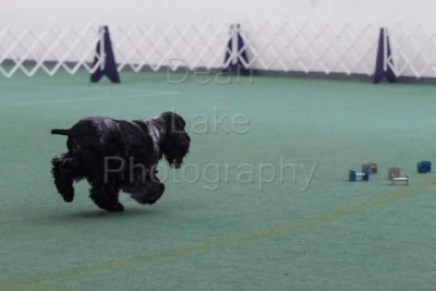IMG_8880.jpg