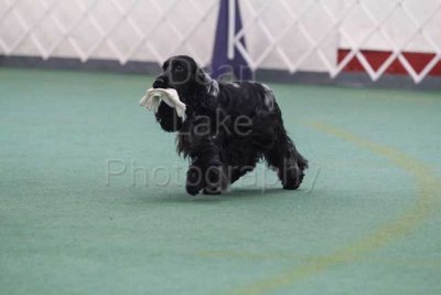 IMG_8886.jpg