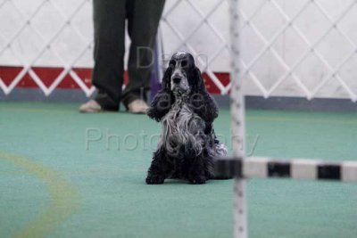IMG_8893.jpg