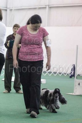 IMG_8929.jpg