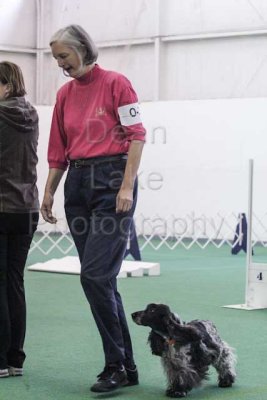 IMG_8963.jpg