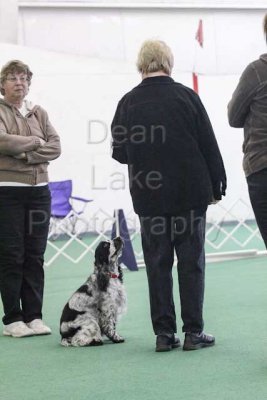 IMG_8980.jpg