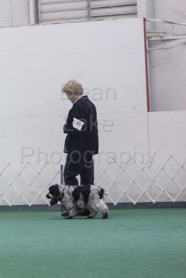 IMG_8984.jpg
