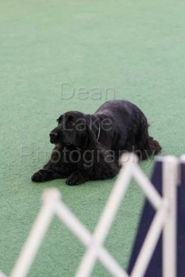 IMG_9125.jpg