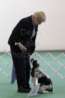 IMG_9176.jpg