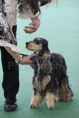 IMG_9178.jpg