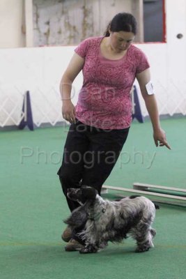 IMG_9195.jpg