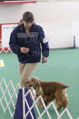 IMG_9204.jpg
