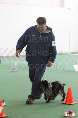 IMG_9220.jpg