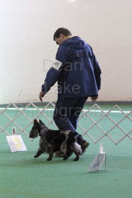 IMG_9222.jpg