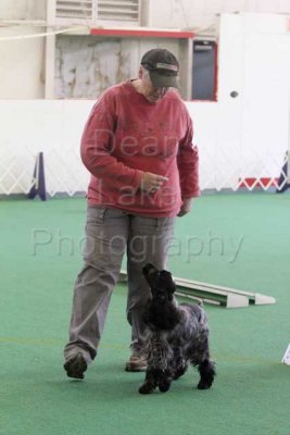 IMG_9229.jpg