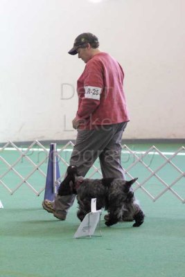 IMG_9230.jpg