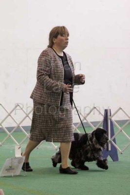 Novice B end / Rally Novice