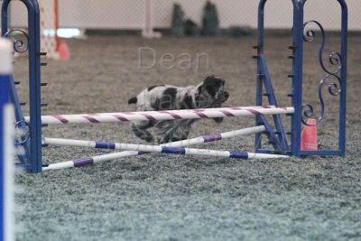 IMG_8757.jpg