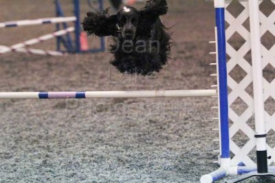 Open and Novice JWW