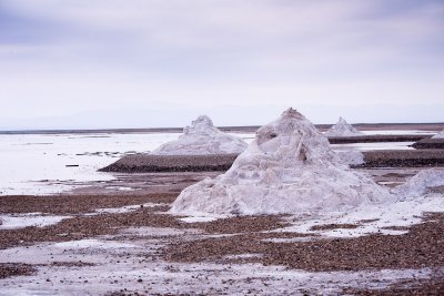 DSC_0792-20.jpg