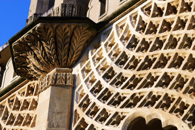 DSC_0247n.jpg