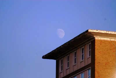 DSC_0263n.jpg