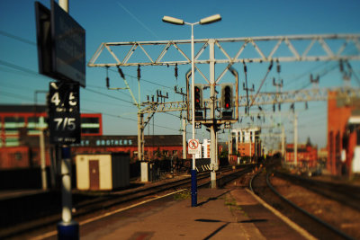 DSC_1253.jpg