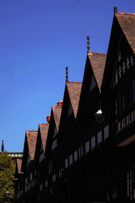DSC_1449.jpg