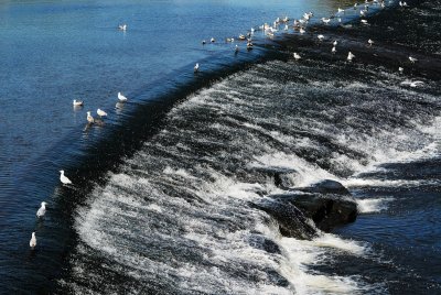 DSC_1674.jpg