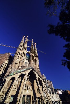 DSC_2234.jpg
