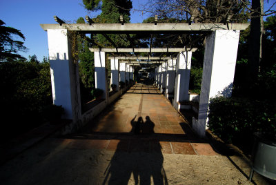 DSC_2877.jpg