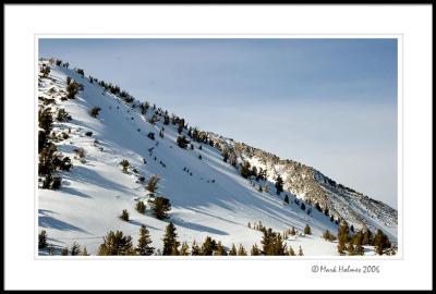 Snowy Hillside on Mt Rose Hwy