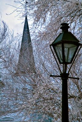 Narnia in Nawlins