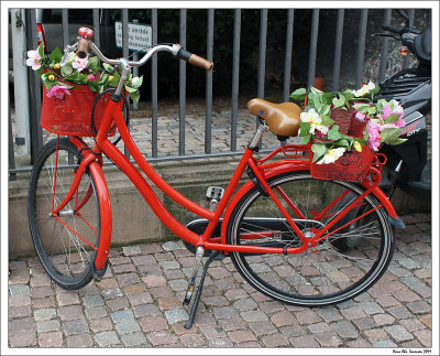 Flower Power Bike