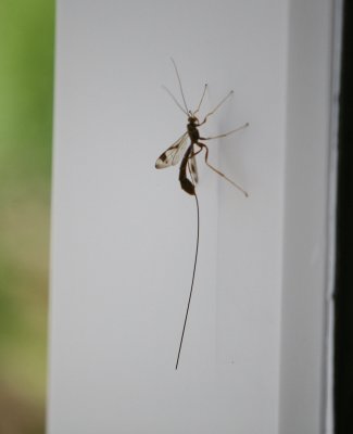IMG_8502.jpg